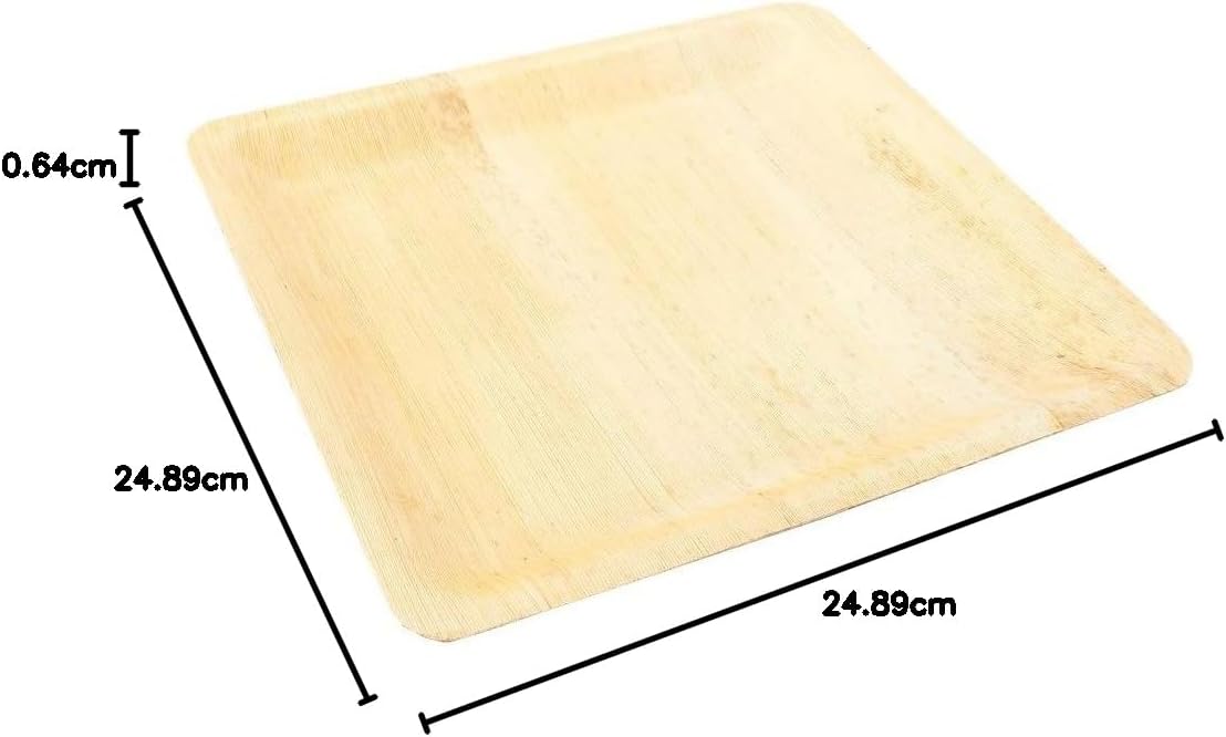 أطباق عشاء من ورق الخيزران - مربعة كبيرة، 9.8 بوصة - عدد 10 - عبوات للبيع بالتجزئة - أدوات المطاعم