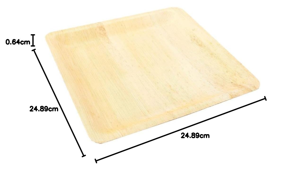 أطباق عشاء من ورق الخيزران - مربعة كبيرة، 9.8 بوصة - عدد 10 - عبوات للبيع بالتجزئة - أدوات المطاعم