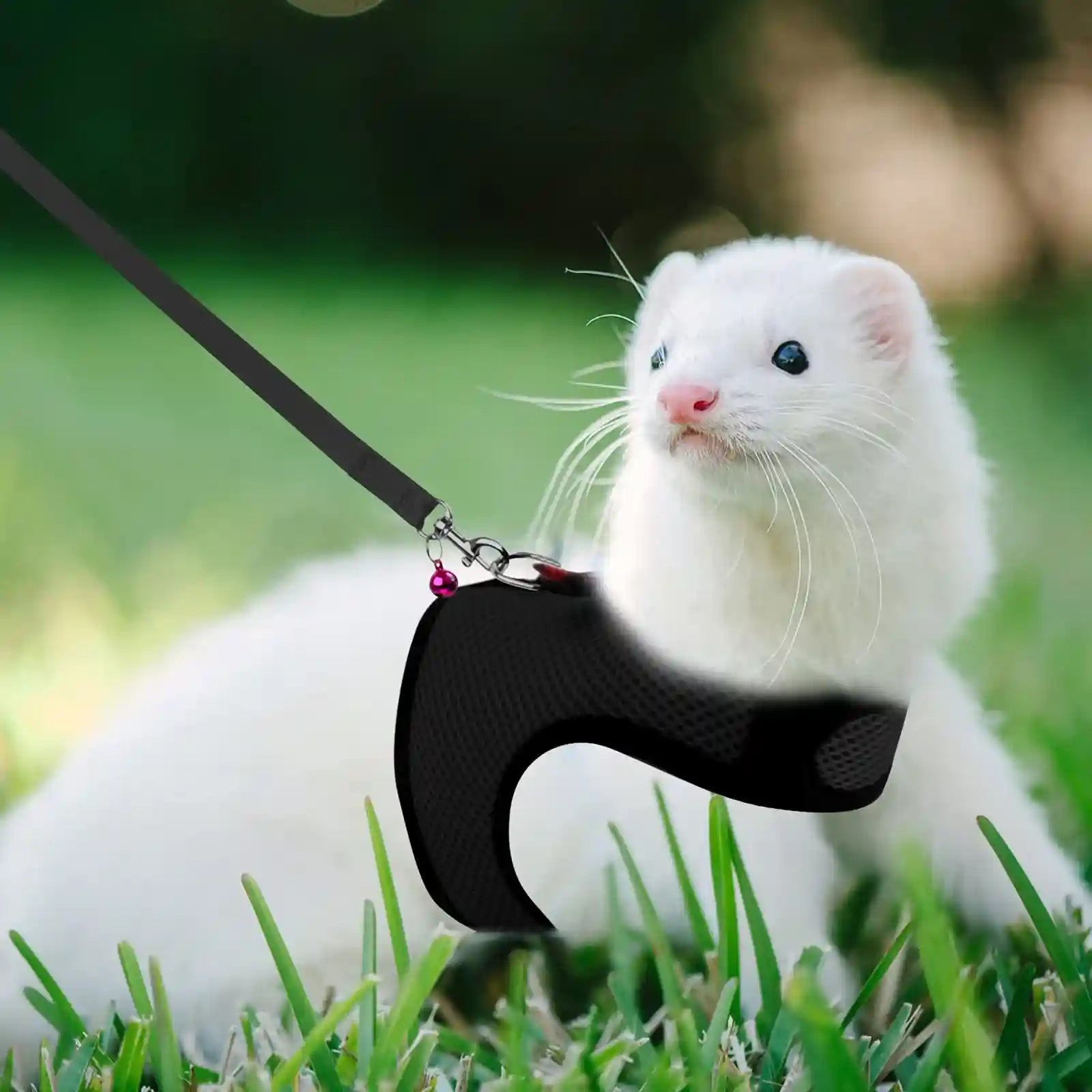 RYPET Torimfe Soft Mesh Small Animal Harness, Black - Safqqa Egypt