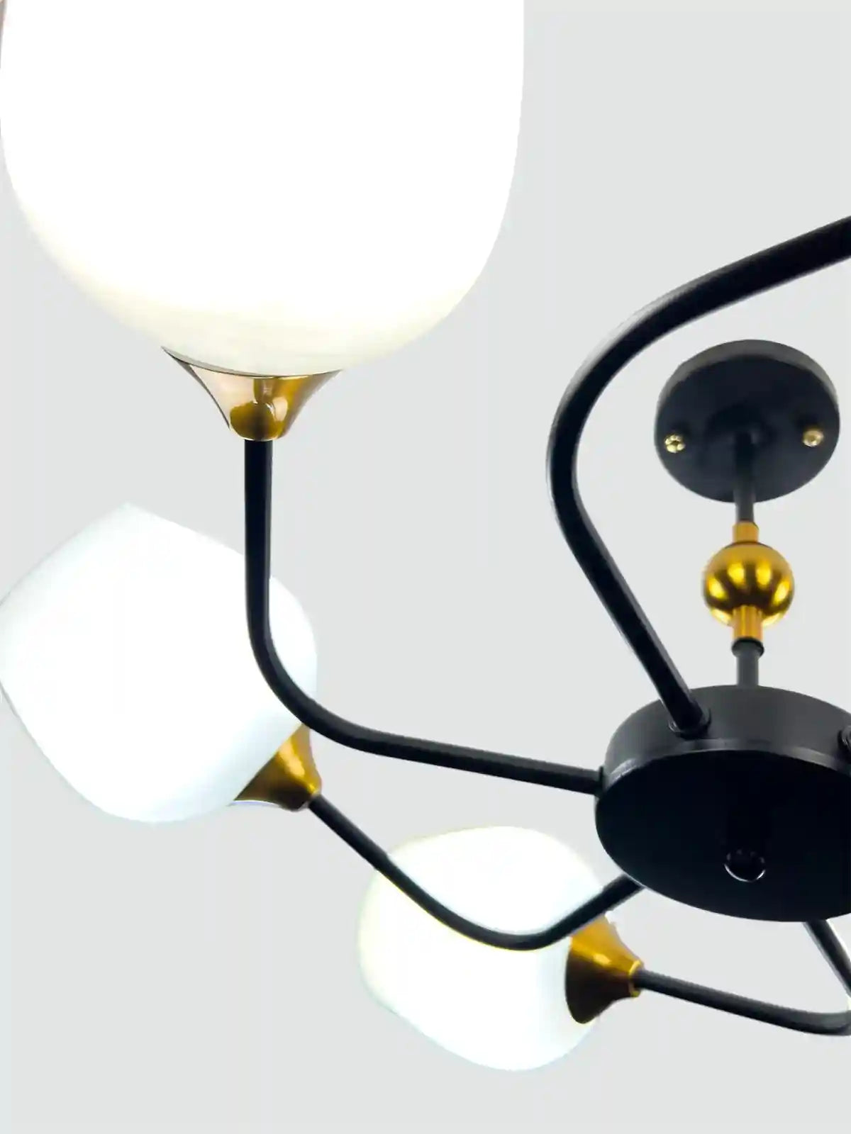 Modern 6-Arm Glass Ceiling Chandelier – Black & Gold - Safqqa Egypt