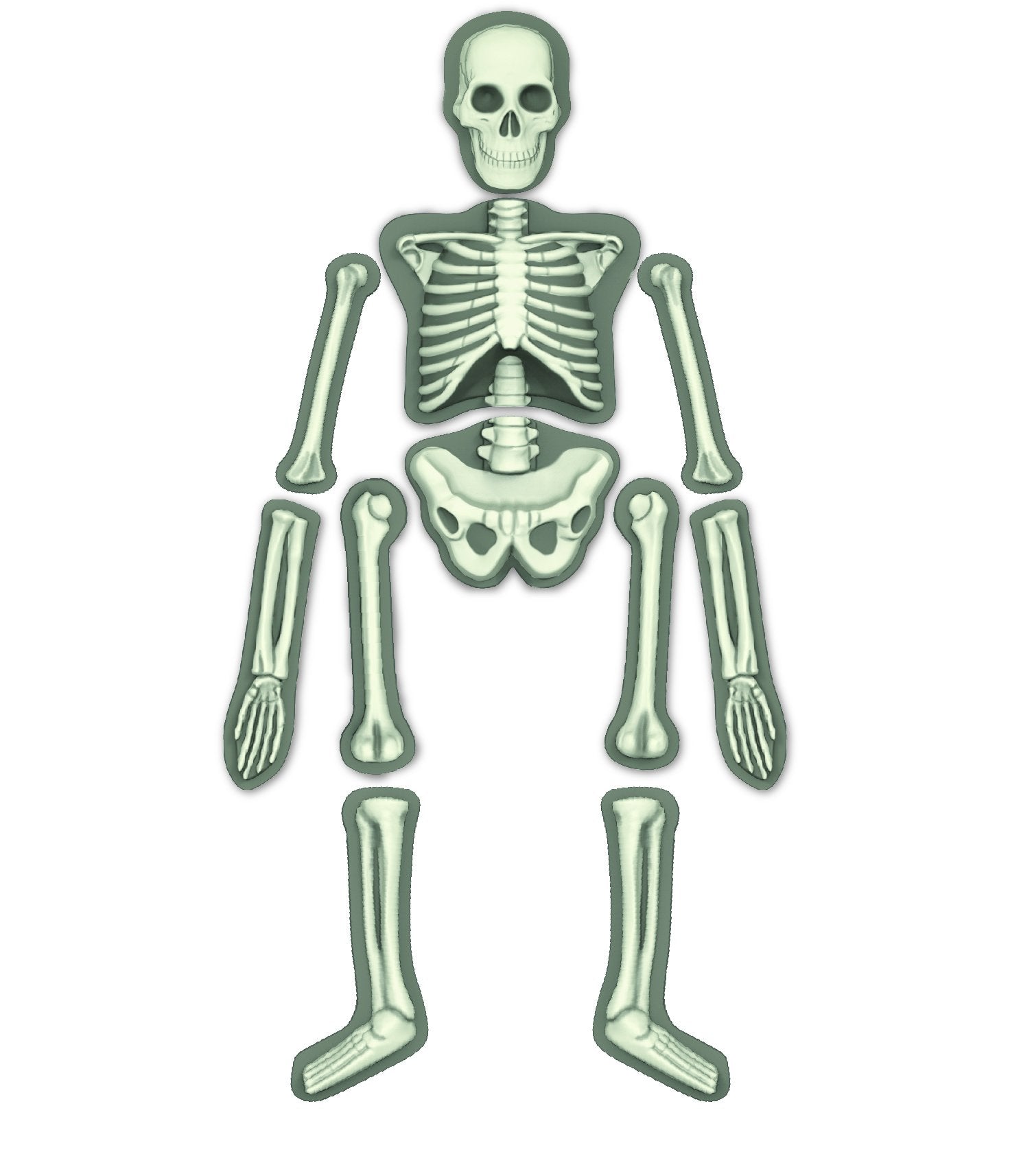 ألعاب الهيكل العظمي البشري
