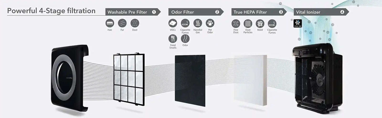 Coway Cleans up to 361 Sq. Ft, 421 m³/h CADR, long life multiple filters and Green HEPA removes 99.99% particles. Air Quality Indicator. 1+1 Years Warranty, Black, AP-1512H, Airmega Mighty - Safqqa Egypt