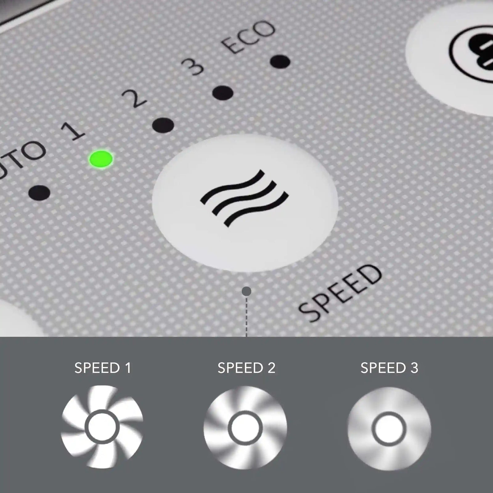 Coway Cleans up to 361 Sq. Ft, 421 m³/h CADR, long life multiple filters and Green HEPA removes 99.99% particles. Air Quality Indicator. 1+1 Years Warranty, Black, AP-1512H, Airmega Mighty - Safqqa Egypt