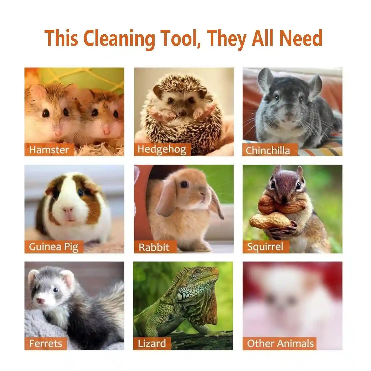 Rypet Cage Cleaner for Guinea Pigs, Hamsters, Chinchillas, Rabbits, Reptiles, Hedgehogs and Other Small Animals - Mini Dustpan and Brush Set Cleaning Tool for Animal Waste (1 Pack) - Safqqa Egypt