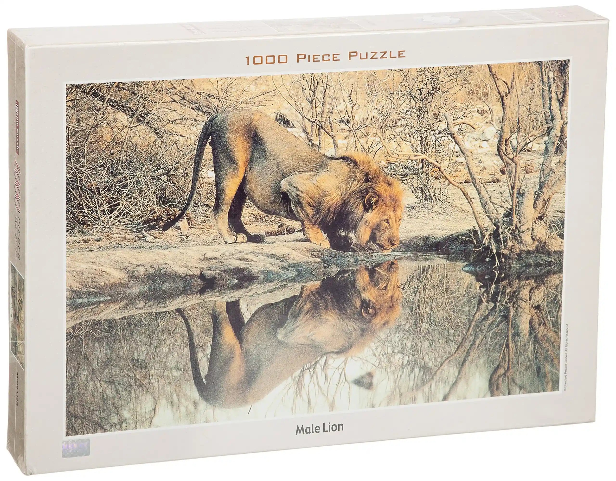 Tomax Male lion 1000 piece puzzle - Safqqa Egypt