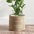 Kelmntar Mariam Macrame – Halfa Plantpot | حامل نباتات ماكرامي Halfa