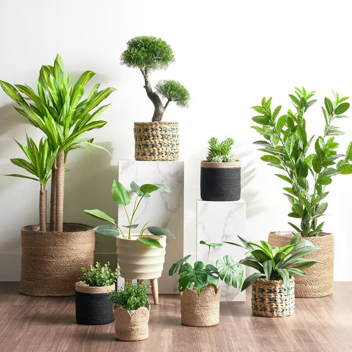 Kelmntar Mariam Macrame – Halfa Plantpot | حامل نباتات ماكرامي Halfa
