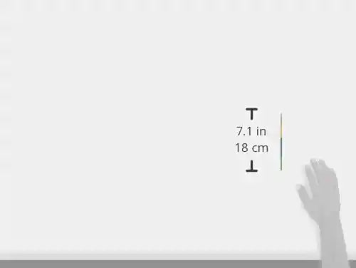 PRINCETON ARTIST BRUSH CO. SNAP WHITE TAK RND Size 2