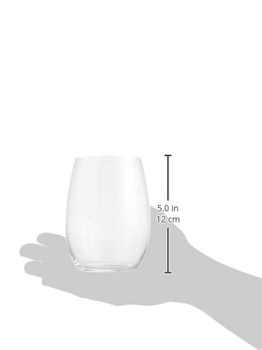 BigNood Glass Cups Set for Daily Use and Serving - Set of 4