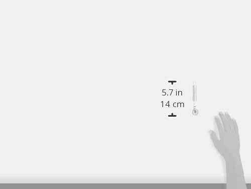 قطّاعة عجين من بيدريني – ستانلس ستيل عالي الجودة لتشكيل وتقطيع المعجنات بدقة