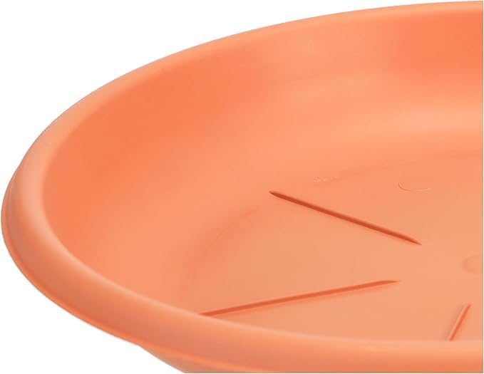 Bama Round Saucer Plastic Light Brown Made in Italy – Safqqa Egypt