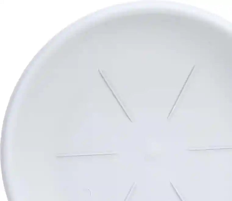 طبق زراعة دائري من باما مصنوع من البلاستيك، اوف وايت، صنع في إيطاليا، 20062