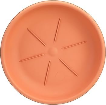 Bama Round Saucer Plastic Light Brown Made in Italy – Safqqa Egypt