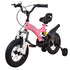 ROYALBABY Kids Bicycle for Girls – Stylish and Safe Ride- Damage Box
