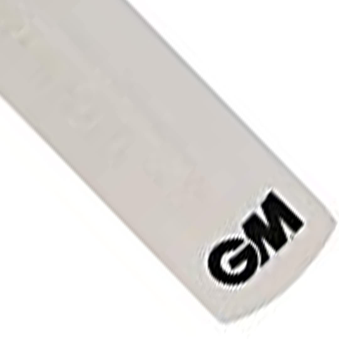 مضرب كريكيت صغير GM كاها مقاس 17 بوصة
