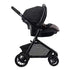 Evenflo Pilot Baby Black Stroller Black