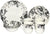 Claytan Floral Black Dinner Set 16Pc - Safqqa