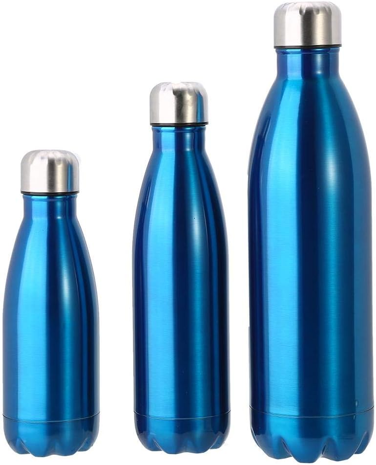 Dilwe VGEBY1 Stainless Steel Water Bottle, Insulated Leak-Proof Bottle Keeps Drinks Hot & Cold Easy Washing(500ML-Blue)-Damage Box