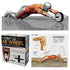 Ab & Core Strength Exercise Wheel
