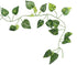 Wonka Artificial Flexible Vine Reptile Habitat Decor Green Leaves