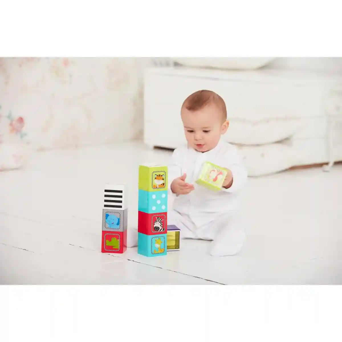 ELC JUNGLE WONDER CUBE-S