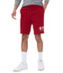 AEROPOSTALE mens 9448S22A Shorts