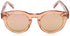 Chimi Light Brown Lens Panto Sunglasses for Women