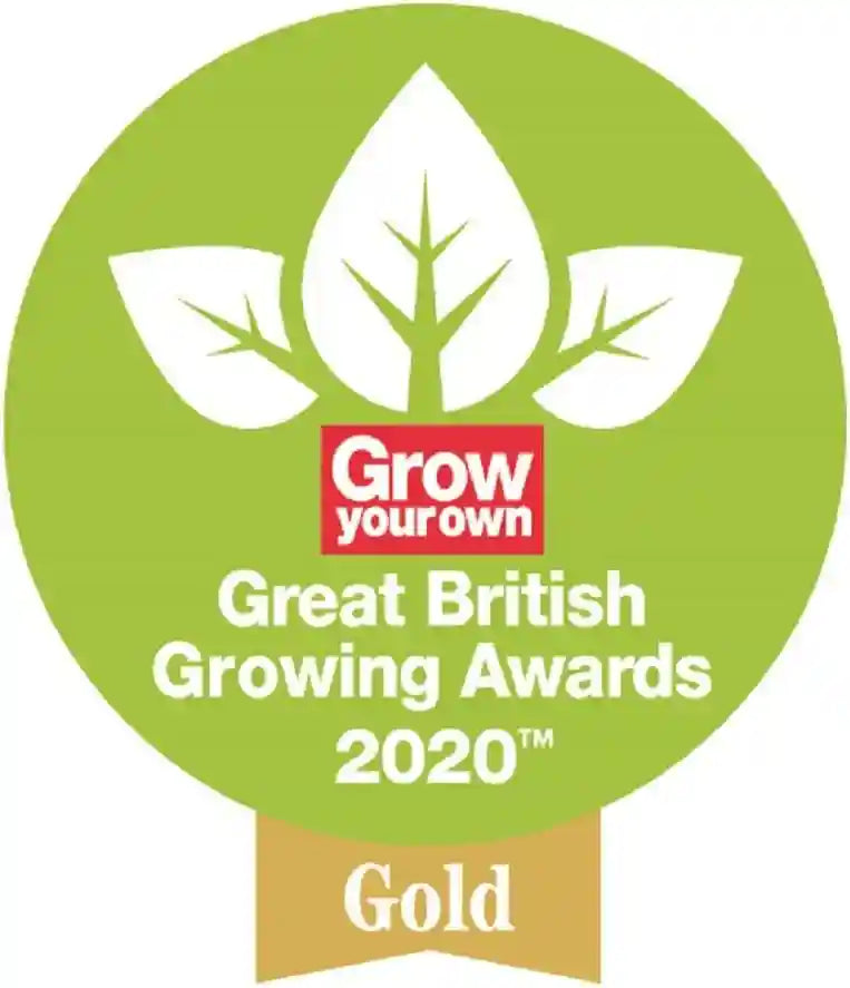 Spear & Jackson MICROROUND Micro Shovel – Fiberglass Shaft – Safqqa Egypt