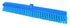 Maya Broom Medium (600 x 60 mm) Blue 47156