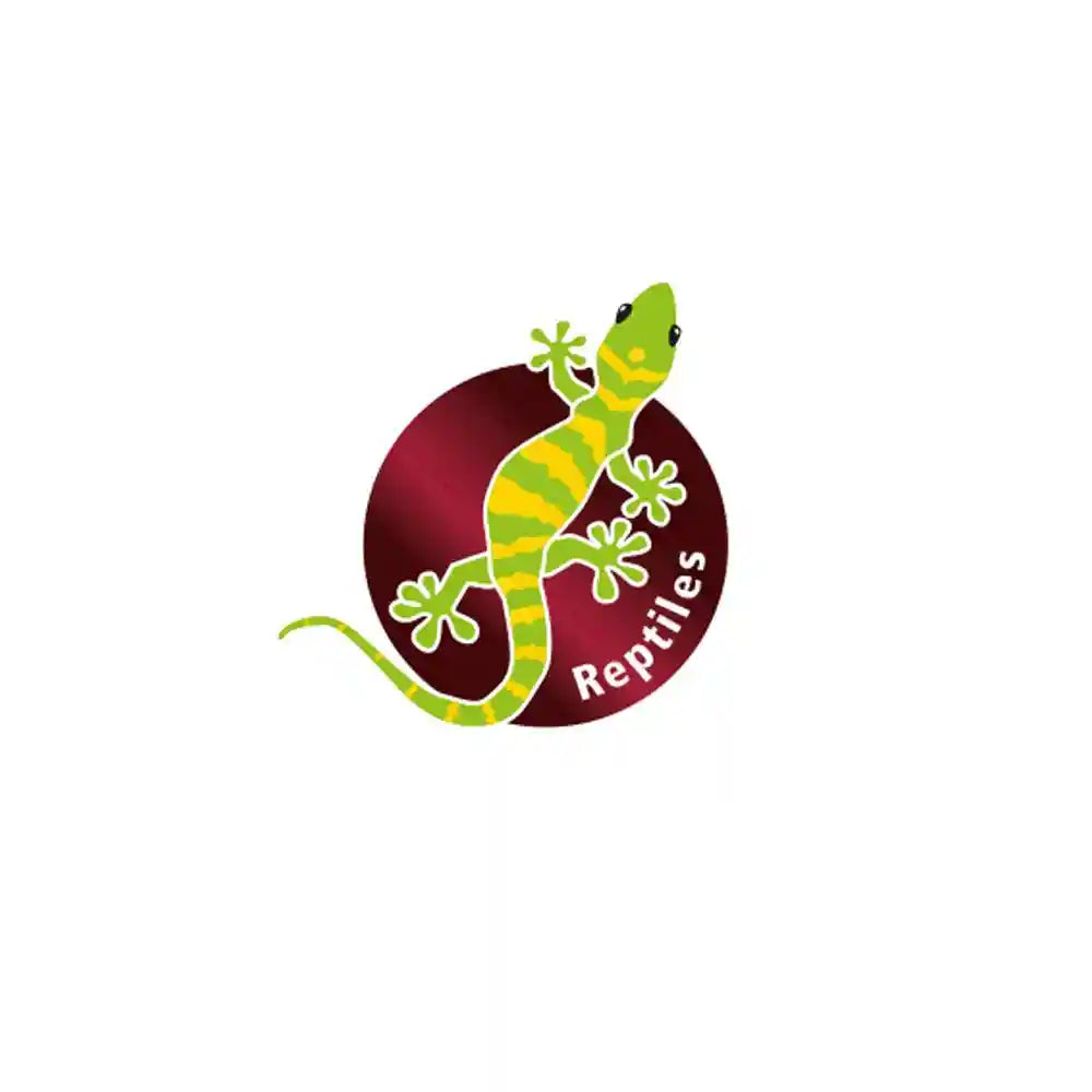 أضف لمسة طبيعية لمساحتك مع زينة التيراريوم HOBBY – صبار سونورا حجم متوسط. هذه الزينة الواقعية مناسبة للتيراريوم، الرفوف، المكاتب، أو أي مساحة داخلية صغيرة