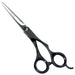 Andis Straight Shears, Right-Handed, Professional Dog and Cat Grooming - Safqqa Egypt