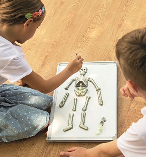 ألعاب الهيكل العظمي البشري