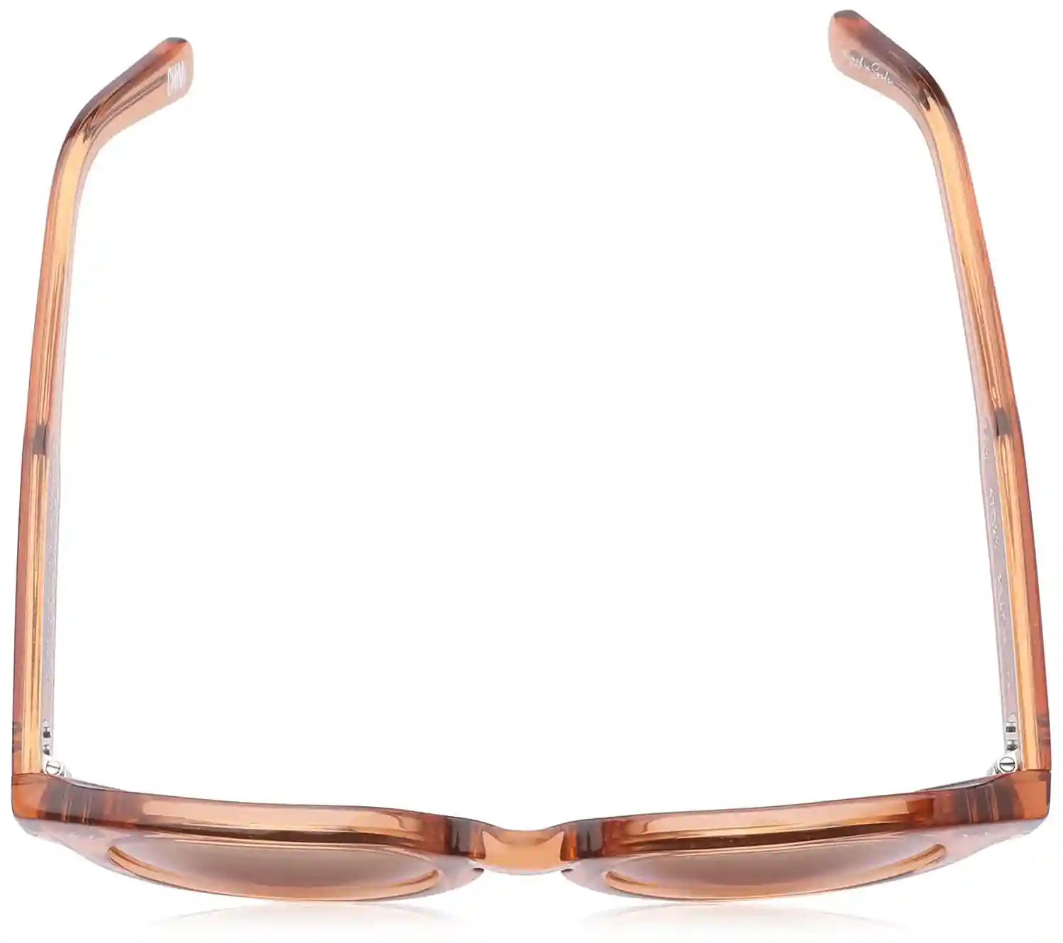 Chimi Light Brown Lens Panto Sunglasses for Women