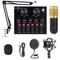 مجموعة ميكروفون BM-800 طقم مايك مع كارت صوت V8 مكثف وميكسر دي جي ذراع متقاطع للميكروفون قابل للتعديل مثبت عازل للصدمات معدني وفلتر بوب مزدوج الطبقة لتسجيل الاستوديو والبث بلوتوث ذهبي من اكس كيس