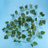 Wonka Artificial Flexible Vine Reptile Habitat Decor Green Leaves