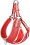 Fida Reflective Adjustable Dog Harness with Lightweight Soft Mesh - Safqqa