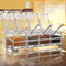 Krishi Kitchen Spice Pots 4 Piece Clear Seasoning Box Storage Container Condiment Jars Seasoning Rack for Kitchen Cooking with Cover and Spoon