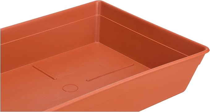 Bama Rectangular Saucers, 60 x 23 cm - Safqqa Egypt