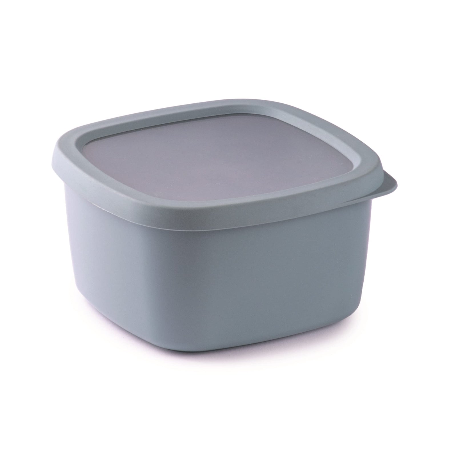 Snips Airtight Food Storage Container