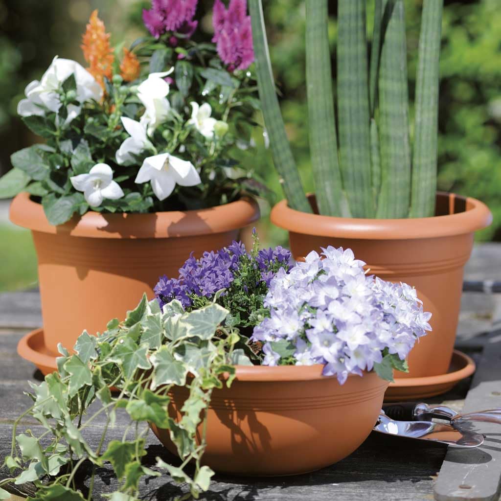 Stefanplast Plant Pot Practical Indoor Outdoor Use – Safqqa Egypt