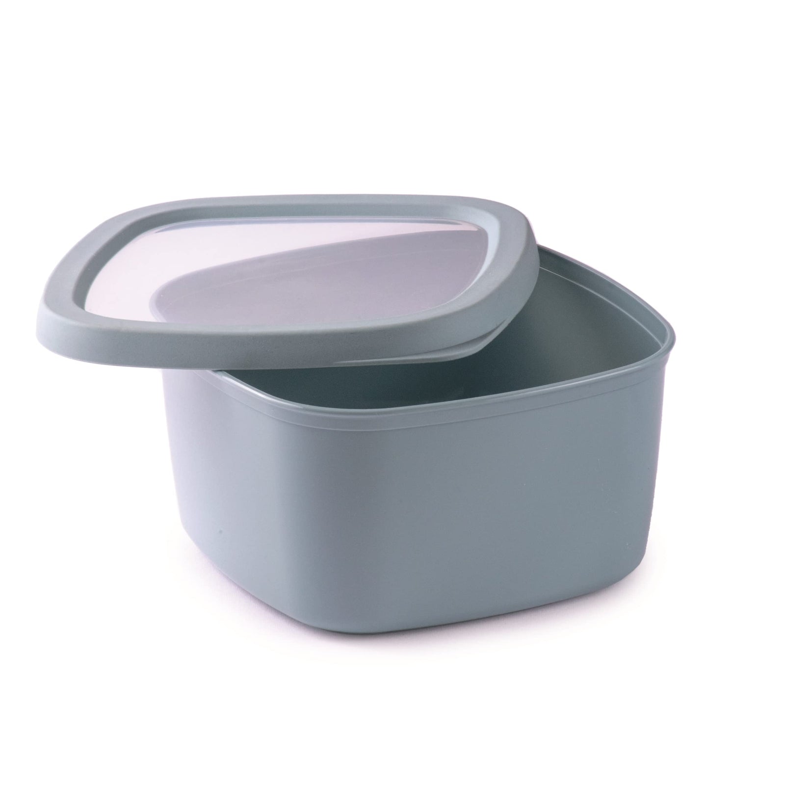 Snips Airtight Food Storage Container