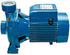 Pedrollo WATER PUMP Provides strong and consistent water flow.