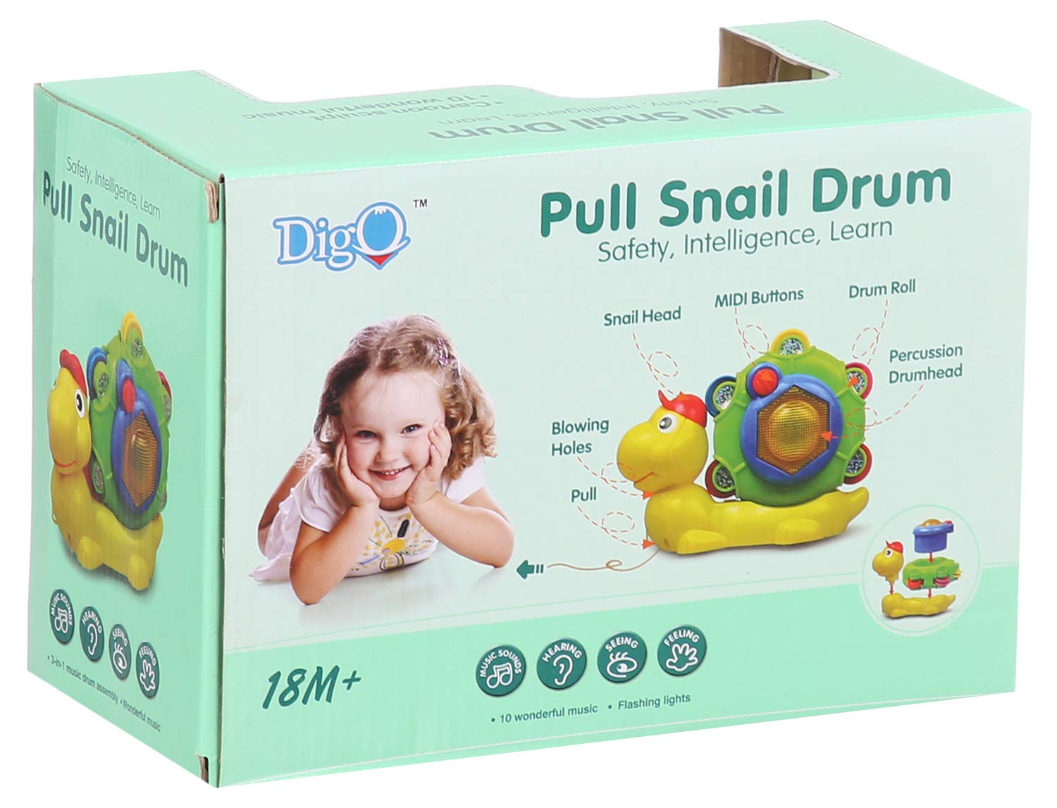 Weidey WD3649 Pull Snail Drum with 10 Sounds