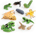 Early Learning Centre Mini Amphibians