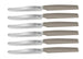 Pedrini Kitchen Knives Set – 6 Pieces with Dove Grey Handle - Safqqa