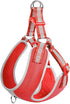 Fida Reflective TQ Adjustable Dog Harness – Lightweight Soft Mesh - Safqqa