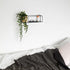 Umbra Cubist Floating Shelf with Built-In Succulent Planter – Modern Wall Décor and Geometric Display Shelf for Books, Candles, Mementos, Photos, Indoor Plants and More! | Small, Black