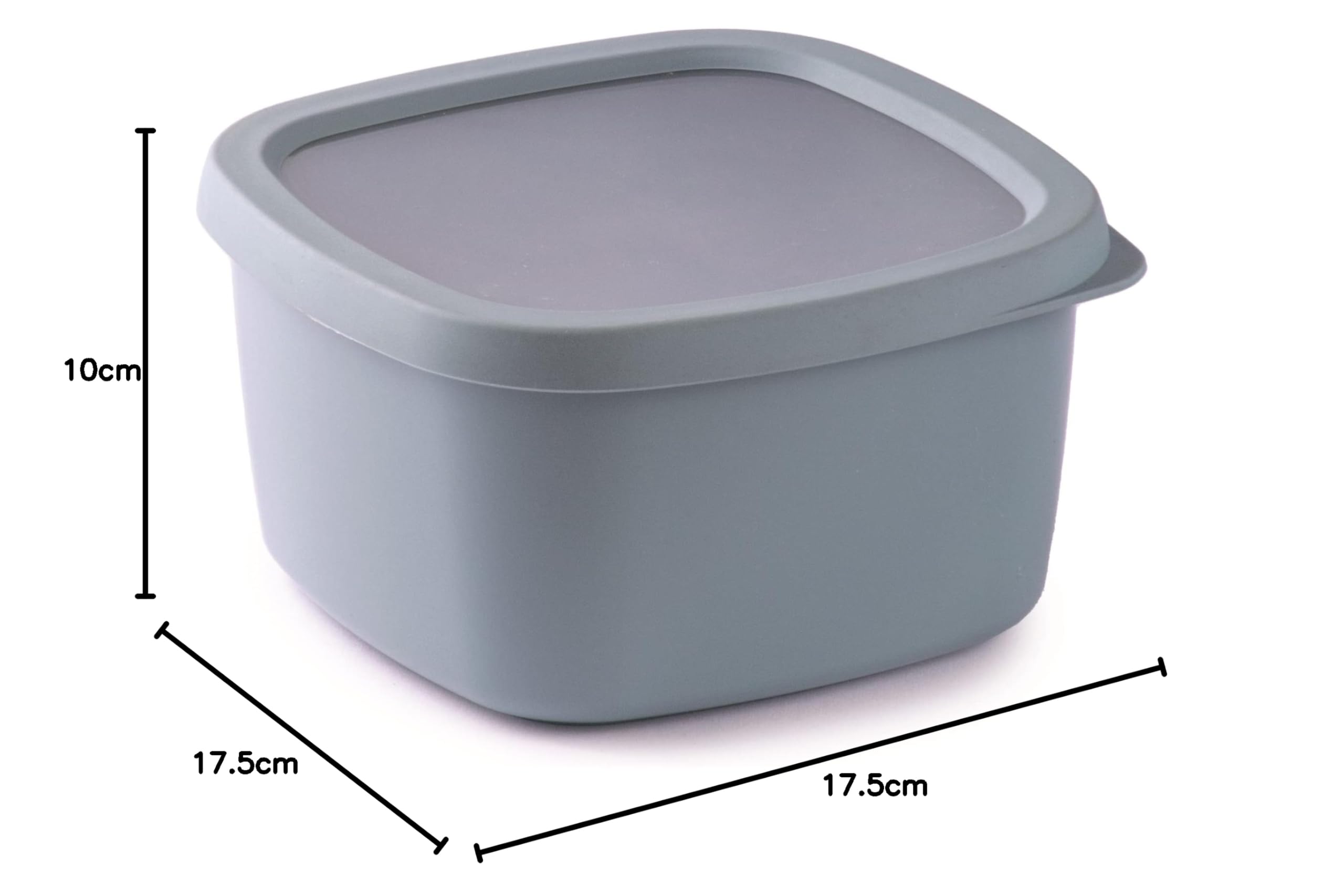 Snips Airtight Food Storage Container