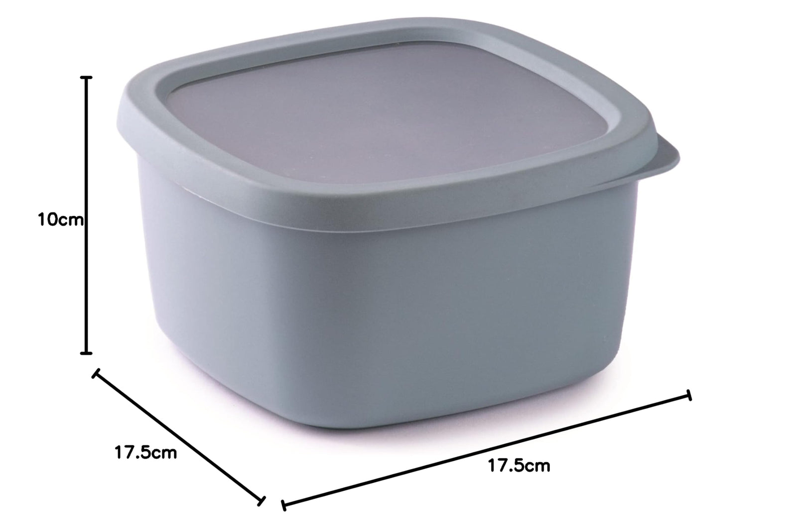 Snips Airtight Food Storage Container