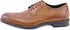 Stacy Adams Men's shoes brown color, suitable for formal wear